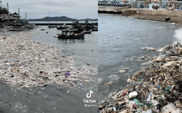 Clip: Từng là hòn đảo du lịch HOT chẳng kém gì Phú Quốc, không ngờ nay ô nhiễm "sóng vỗ" là thấy rác lềnh phềnh!