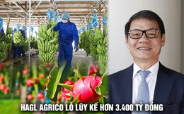 HAGL Agrico lỗ hơn 1.100 tỷ đồng năm 2021, lỗ lũy kế hơn 3.400 tỷ đồng