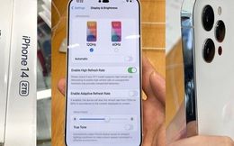 iPhone 14 tiếp tục lộ ảnh 'nét như Sony', fan Việt phấn khích: Chiếc iPhone 'chân ái' của cuộc đời đây rồi!