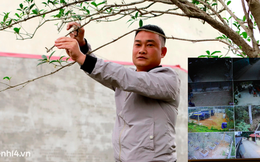 Ảnh: Đại gia Hà Thành xây cổng cao 4 mét, lắp 42 mắt thần bảo vệ vườn "củi khô" tiền tỷ