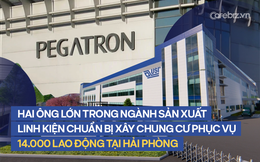 Hai ông lớn trong ngành sản xuất linh kiện điện tử chuẩn bị xây chung cư phục vụ 14.000 công nhân tại Hải Phòng