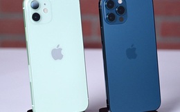 iPhone thống trị top 10 mẫu smartphone bán chạy nhất năm 2021