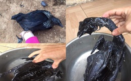 Con gà đen như nhúng nhựa đường này khiến nhiều người tranh cãi: Giá tới 45 triệu đồng/con