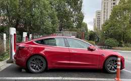 Cắm sạc chưa được nửa tiếng, chủ xe Tesla "tái mặt" khi thấy con số trên hóa đơn