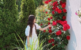 5 vườn hồng lung linh hơn cổ tích chứng minh sự mát tay của gia chủ Việt, càng ngắm càng u mê quên lối về