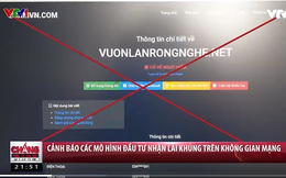 Cảnh báo các mô hình đầu tư nhận lãi khủng trên không gian mạng