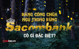 Giải mã Sacombank: Nhà băng được ví là 'nàng công chúa ngủ trong rừng' và sắp thức dậy sau giấc ngủ dài?