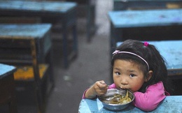 Nạn đói đe dọa 1,4 tỷ người Trung Quốc vì khủng hoảng thiếu... phân bón