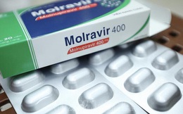 4 lưu ý về thuốc Molnupiravir dù bạn là F0 hay vẫn chưa nhiễm bệnh đều cần biết rõ