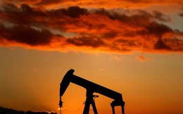 Giá xăng dầu ngày 2-3: Giá dầu vượt ngưỡng 110 USD/thùng