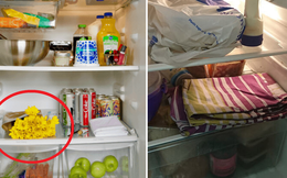 Dùng tủ lạnh chỉ để bảo quản thực phẩm thôi thì quá phí, đây là loạt công dụng hữu ích khác mà 99% người dùng không hề biết