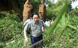Chùm ảnh: Thủ tướng khảo sát thực địa quy hoạch tuyến giao thông trọng điểm kết nối Bình Phước với Đông Nam Bộ