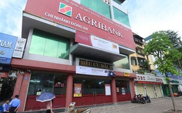 Hơn 3 năm rao bán, nhiều lần hạ giá, Agribank vẫn chưa xử lý được khoản nợ hơn 708 tỷ đồng thế chấp bằng gần 7.000m2 đất tại TP HCM