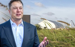 Elon Musk có thể trở thành kẻ "tội đồ" ở Washington vì mối quan hệ thân thiết với Trung Quốc