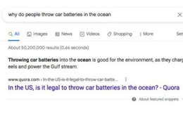 Google gặp lỗi thuật toán, khuyến khích người dùng vứt pin xuống biển để "sạc" cho cá chình và dòng nước