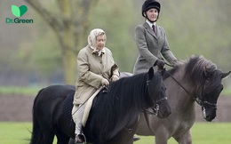 5 bí quyết sống thọ của nữ hoàng trị vì lâu nhất nước Anh: Chẳng hề tốn kém, cực đơn giản