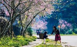 Miền Bắc nắng lên rực rỡ trước khi đợt không khí lạnh mới tràn về