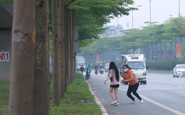 Hà Nội: Bất chấp nguy hiểm, nhiều người ra giữa đường chụp ảnh với hàng cây bàng lá nhỏ