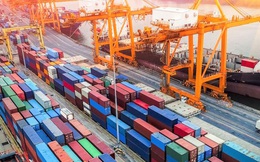 Ước tính các doanh nghiệp xuất khẩu phải chi trả thêm 5,5 tỷ/năm tiền phí cảng biển, 7 Hiệp hội gửi đơn kêu cứu