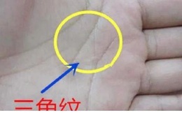 Cổ nhân cho rằng lòng bàn tay có hình tam giác, giàu đến 99%: Vì sao?