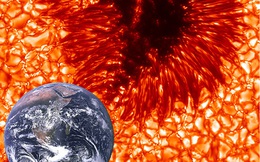 Phát hiện vết đen khổng lồ rộng bằng Trái Đất xuất hiện trên Mặt Trời