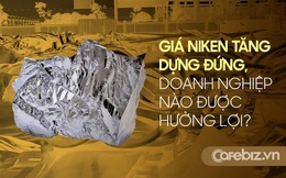 Một doanh nghiệp Việt kín tiếng trên sàn chứng khoán đang sở hữu mỏ Niken, cổ đông "mừng rơi nước mắt" khi giá Niken tăng điên rồ 111%