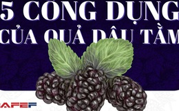 5 công dụng “thần thánh” của loại quả quen thuộc mà giá lại rẻ bèo: Chống ung thư, hạ đường huyết, cực tốt cho tim mạch