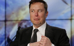 “Gã ngông” Elon Musk nêu ý tưởng tham vọng: Con người bất tử khi tải não người vào robot