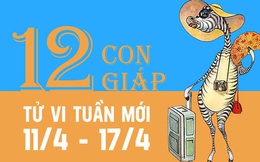 Tử vi tuần mới 11/4 - 17/4: 2 con giáp vận đào hoa nở rộ, 6 con giáp nhận lộc trời cho