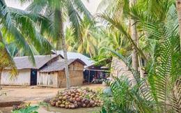 Bỏ phố về rừng làm farmstay không phải là buông bỏ nhịp sống gấp gáp mà đó là công việc tất bật