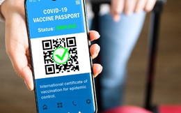 Hướng dẫn các bước đề nghị cấp Hộ chiếu vaccine trên web của Bộ Y tế để có thể du lịch nước ngoài