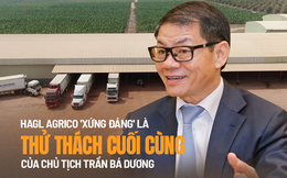 THACO và cuộc tái thiết ở HAGL Agrico: Đường xa vạn dặm!