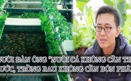 Làm giàu từ nuôi cá trồng rau: Người đàn ông kiếm130 tỷ đồng mỗi năm nhờ mô hình "nuôi cá không cần thay nước, trồng rau không cần bón phân"