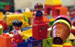 Ngành học lạ lùng: Xếp hình Lego, nghiên cứu Beatles, "Béo Phì học" và quản lý hoa