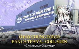 Giải mã Vĩnh Hoàn -  trùm xuất khẩu cá tra của Việt Nam: Từ miếng phi lê cá tới túi collagen và mục tiêu 1 tỷ USD định giá cho "Tây Lương Nữ Quốc"