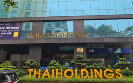 Thaiholdings muốn trả cổ tức 10%, tập trung phát triển dự án đất vàng Kim Liên và Enclave Phú Quốc