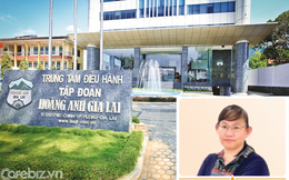 Thêm một "công thần" gắn bó hơn 25 năm với Hoàng Anh Gia Lai xin rời Hội đồng quản trị