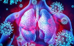 Nghiên cứu về tác động của COVID-19 đối với chức năng phổi của người trẻ