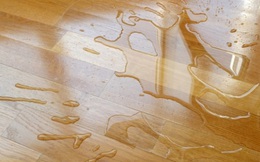 Sàn gỗ công nghiệp được quảng cáo chịu nước, chịu ẩm tốt: Thực sự có được như lời đồn?