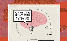 "Não bộ là cỗ máy tính lượng tử tự tưởng tượng ra ảo giác về toán học"