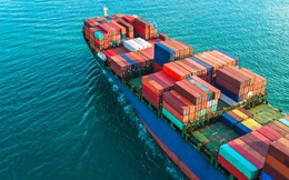 Vụ lừa đảo 100 container điều tại Italy: Những thông tin chưa từng công bố