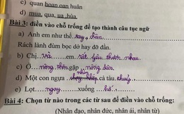 Thêm một bài tập TIẾNG VIỆT của học sinh tiểu học gây bão: Đọc xong quên luôn cả bản gốc nhưng được khen hết lời vì quá hợp lý