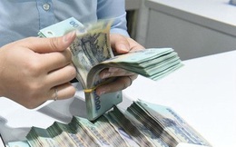 Tân Hoàng Minh phát hành trái phiếu huy động gần 10.000 tỷ: Vòng xoáy vay nợ