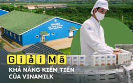 Chiếm hơn 50% thị phần ngành sữa, khả năng kiếm tiền đỉnh cao, vì sao Vinamilk lại không được nhà đầu tư chứng khoán mặn mà?