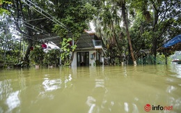 Nước sông lên cao, hàng chục hộ dân ở ngoại ô Hà Nội chìm trong biển nước