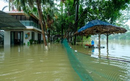 Ra sân kích cá, lội nước hái hoa, chèo thuyền đi thăm lúa sau mưa lớn ở Hà Nội