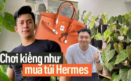 "Săn" lá - thú chơi đắt đỏ như mê túi Hermes: Vài trăm triệu chi ra chưa chắc đủ, đổ công vào vẫn có thể mất trắng