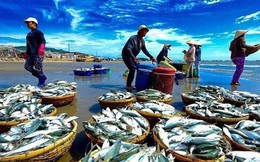 Giải mã lý do doanh nghiệp thủy sản ăn lãi bằng lần trong quý 1/2022: Giá cá tra xuất khẩu tăng từ 40% đến 70%, thuỷ hải sản đều tăng mạnh