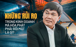 "Ăn chắc mặc bền" như Hòa Phát, vì sao Chủ tịch Trần Đình Long và cộng sự vẫn phải đối mặt với 3 rủi ro tài chính khi điều hành tập đoàn này?