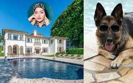 Ngắm dinh thự đẳng cấp 32 triệu USD của diva Madonna: Ngỡ ngàng chủ sở hữu thật sự lại là một chú chó!